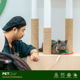 PETClub เปิดสาขาใหม่ที่ Central Chanthaburi  ศูนย์รวมสำหรับคนรักสัตว์เลี้ยงแบบครบวงจร 