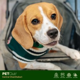 PETClub เปิดสาขาใหม่ที่ Central Chanthaburi  ศูนย์รวมสำหรับคนรักสัตว์เลี้ยงแบบครบวงจร 