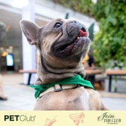 Grand Opening PETClub at Marché Thonglor