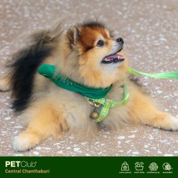 PETClub เปิดสาขาใหม่ที่ Central Chanthaburi  ศูนย์รวมสำหรับคนรักสัตว์เลี้ยงแบบครบวงจร 