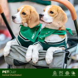 PETClub เปิดสาขาใหม่ที่ Central Chanthaburi  ศูนย์รวมสำหรับคนรักสัตว์เลี้ยงแบบครบวงจร 