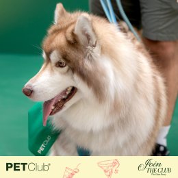 Grand Opening PETClub at Marché Thonglor