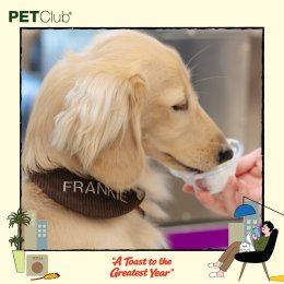 PETClub Thank You Party เติมเต็มความสุขที่ The Promenade