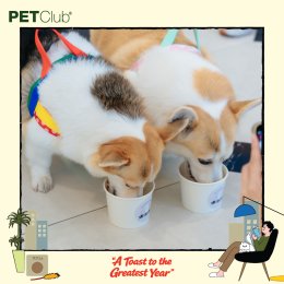PETClub Thank You Party เติมเต็มความสุขที่ The Promenade