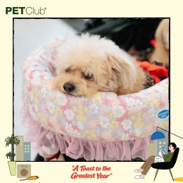 PETClub Thank You Party เติมเต็มความสุขที่ The Promenade