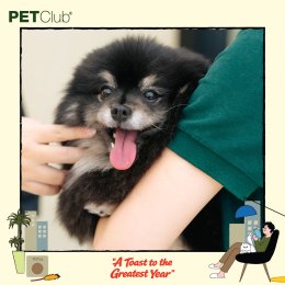 PETClub Thank You Party เติมเต็มความสุขที่ The Promenade
