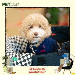 PETClub Thank You Party เติมเต็มความสุขที่ The Promenade