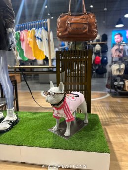 adidas Pet Collection