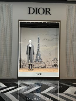 DIOR FALL WD 2024