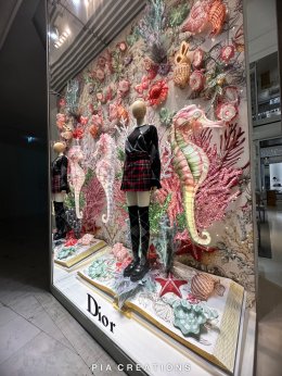 DIOR CHRISTMAS 2024