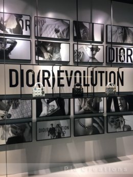 Dior Summer 2017 - Graphic Words & Art Gallery