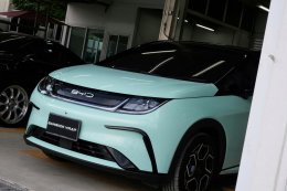 Mint Green - BYD Dolphin