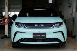 Mint Green - BYD Dolphin