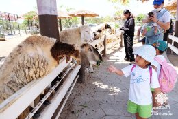 พาเด็กๆ บ้านทานตะวันเที่ยวทะเล ปี2569