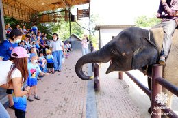 พาเด็กๆ บ้านทานตะวันเที่ยวทะเล ปี2569