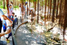 พาเด็กๆ บ้านทานตะวันเที่ยวทะเล ปี2569