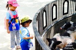 พาเด็กๆ บ้านทานตะวันเที่ยวทะเล ปี2569