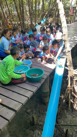 พาเด็กๆปล่อยปู เดินเที่ยวสะพานแดง และพิพิธภัณฑ์สัตว์น้ำ จังหวัดสมุทรสาคร