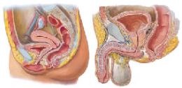 urinary incontinence