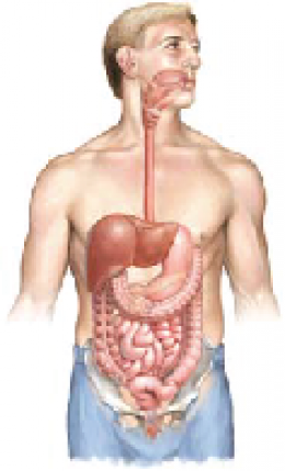 Diverticulitis