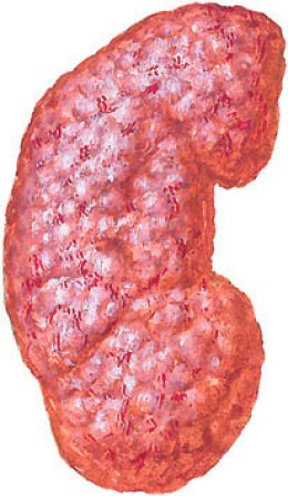 Scleroderma