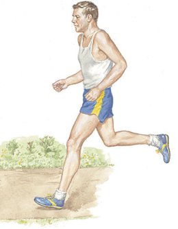 Hydration for Athletes