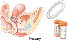 Jinsiy bomba rasmlar Stol ostidagi xojayinni yalash