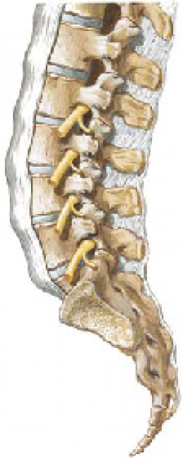 Ankylosing Spondylitis