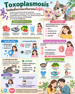 โรคติดเชื้อจากแมวที่หลายคนไม่รู้ตัว 