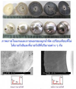 Cobalt ไม่ใช่ชื่อสี แต่ทำให้เกิดสี