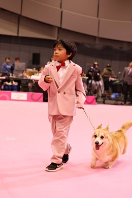 น้องกฤศ ชนัญชิดาวงศ์ (คริส) และ น้องฆฤณ ชนัญชิดาวงศ์ (ตฤณ) ได้รางวัล Best Baby Handler