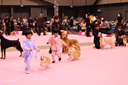 น้องกฤศ ชนัญชิดาวงศ์ (คริส) และ น้องฆฤณ ชนัญชิดาวงศ์ (ตฤณ) ได้รางวัล Best Baby Handler