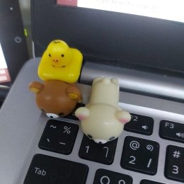 กอหเำพฟเ้ำพัเ