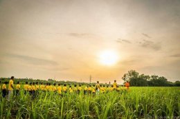 ค่ายคุณธรรมจริยธรรมนักเรียน โรงเรียนโสตศึกษา นครปฐมนักเรียนประถมศึกษาปีที่ 1 ถึง มัธยมศึกษาปีที่ 6 