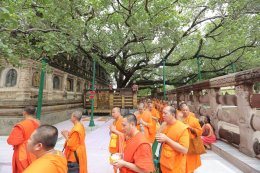 พระวิทยากรกระบวนธรรม พร้อมเพรียงกันเดินประทักษิณาเวียนรอบเจดีย์พุทธคยา ซึ่งเป็นพุทธสังเวชนียสถานที่สำคัญที่สุดใน ๑ ใน ๔ สังเวชนียสถาน