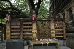 พระวิทยากรกระบวนธรรม พร้อมเพรียงกันเดินประทักษิณาเวียนรอบเจดีย์พุทธคยา ซึ่งเป็นพุทธสังเวชนียสถานที่สำคัญที่สุดใน ๑ ใน ๔ สังเวชนียสถาน