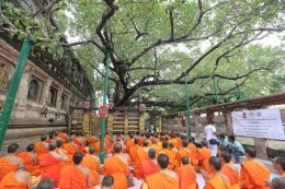 พระวิทยากรกระบวนธรรม จำนวน ๘๒ รูป เจริญพระพุทธมนต์ และเจริญจิตภาวนาใต้ต้นพระศรีมหาโพธิ์ สถานที่ตรัสรู้ขององค์สมเด็จพระสัมมาสัมพุทธเจ้า