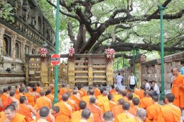 พระวิทยากรกระบวนธรรม จำนวน ๘๒ รูป เจริญพระพุทธมนต์ และเจริญจิตภาวนาใต้ต้นพระศรีมหาโพธิ์ สถานที่ตรัสรู้ขององค์สมเด็จพระสัมมาสัมพุทธเจ้า