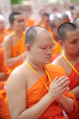 พระวิทยากรกระบวนธรรม จำนวน ๘๒ รูป เจริญพระพุทธมนต์ และเจริญจิตภาวนาใต้ต้นพระศรีมหาโพธิ์ สถานที่ตรัสรู้ขององค์สมเด็จพระสัมมาสัมพุทธเจ้า