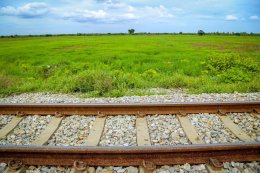 พระเดชพระคุณพระพรหมสิทธิ มอบหมายพระวิจิตรธรรมาภรณ์ ให้ตรวจเยี่ยมให้กำลังใจโยมซึ่งทำนาในที่ธรณีสงฆ์ของวัดสระเกศ ในเขตพื้นที่อำเภอปากท่อ จังหวัดราชบุรี