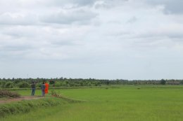 พระเดชพระคุณพระพรหมสิทธิ มอบหมายพระวิจิตรธรรมาภรณ์ ให้ตรวจเยี่ยมให้กำลังใจโยมซึ่งทำนาในที่ธรณีสงฆ์ของวัดสระเกศ ในเขตพื้นที่อำเภอปากท่อ จังหวัดราชบุรี