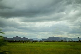 พระเดชพระคุณพระพรหมสิทธิ มอบหมายพระวิจิตรธรรมาภรณ์ ให้ตรวจเยี่ยมให้กำลังใจโยมซึ่งทำนาในที่ธรณีสงฆ์ของวัดสระเกศ ในเขตพื้นที่อำเภอปากท่อ จังหวัดราชบุรี