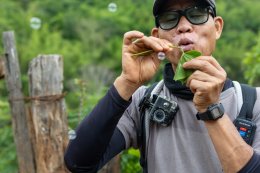 3 Days 2 Nights Experience Trek National Park, Huai Nam Dang