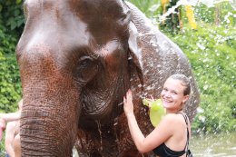 Full Day visit and Support at Eco Elephant Care