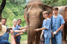 Half Day visit and Support at Eco Elephant Care