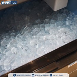 Experiment Cafe | เครื่องทำน้ำแข็งเจ็นไอซ์ รุ่น GI-100S