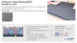 พรมดักฝุ่นและซับความชื้น 3M Nomad 3100N