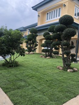 โครงการหมู่บ้านลดาวัลย์ - ปิ่นเกล้า