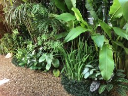 โครงการหมู่บ้านคาซ่า วิลล์ 1 ราชพฤกษ์ - รัตนาธิเบศร์