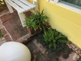 โครงการหมู่บ้านคาซ่า วิลล์ 1 ราชพฤกษ์ - รัตนาธิเบศร์